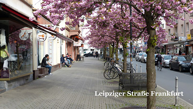 Kirschblütenfest Frankfurt in Leipziger Straße